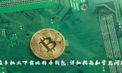 如何在手机上下载比特币钱包：详细指南和常见