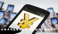 比特币钱包变中文版：新手如何选择和使用?