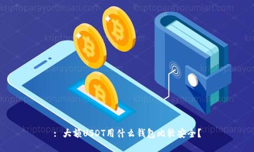 : 大额USDT用什么钱包比较安全？
