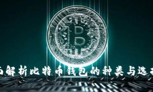 : 全面解析比特币钱包的种类与选择指南