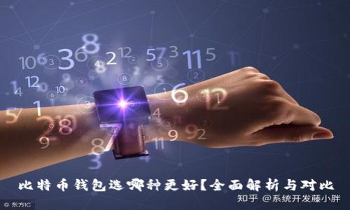 比特币钱包选哪种更好？全面解析与对比